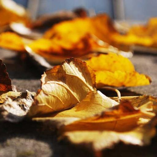 Tips Berkomunikasi Efektif agar Tidak Mudah Disalahpahami